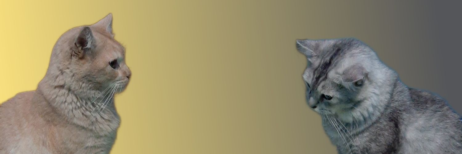Bims_23's profile banner image
