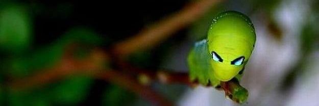 𝕄𝕒𝕤𝕤𝕚𝕧𝕖 𝔻𝕦𝕞𝕡 🏴󠁧󠁢󠁥󠁮󠁧󠁿 banner