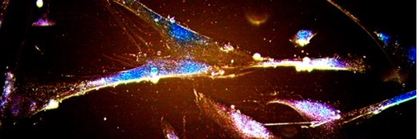 DrexelMcbg Profile Banner