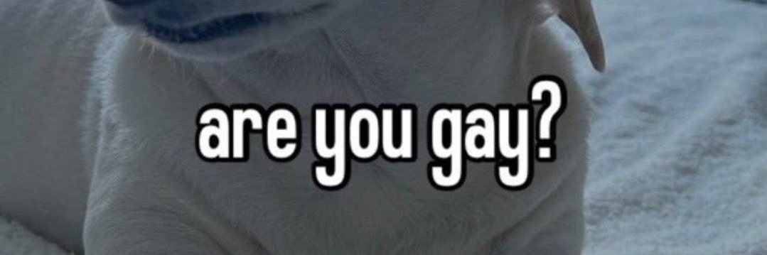 🇺🇦 ji 🏳️‍⚧️🏳️‍🌈 banner