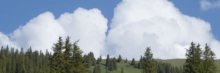 inter_ludee's profile banner image