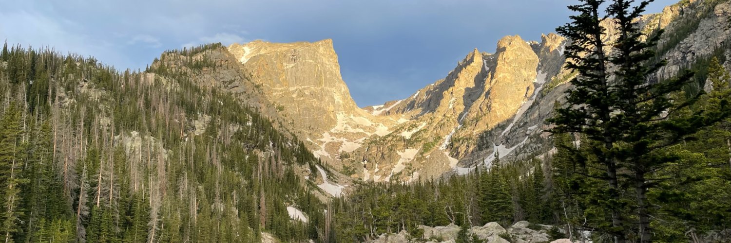 Connor J. Cook, MD banner