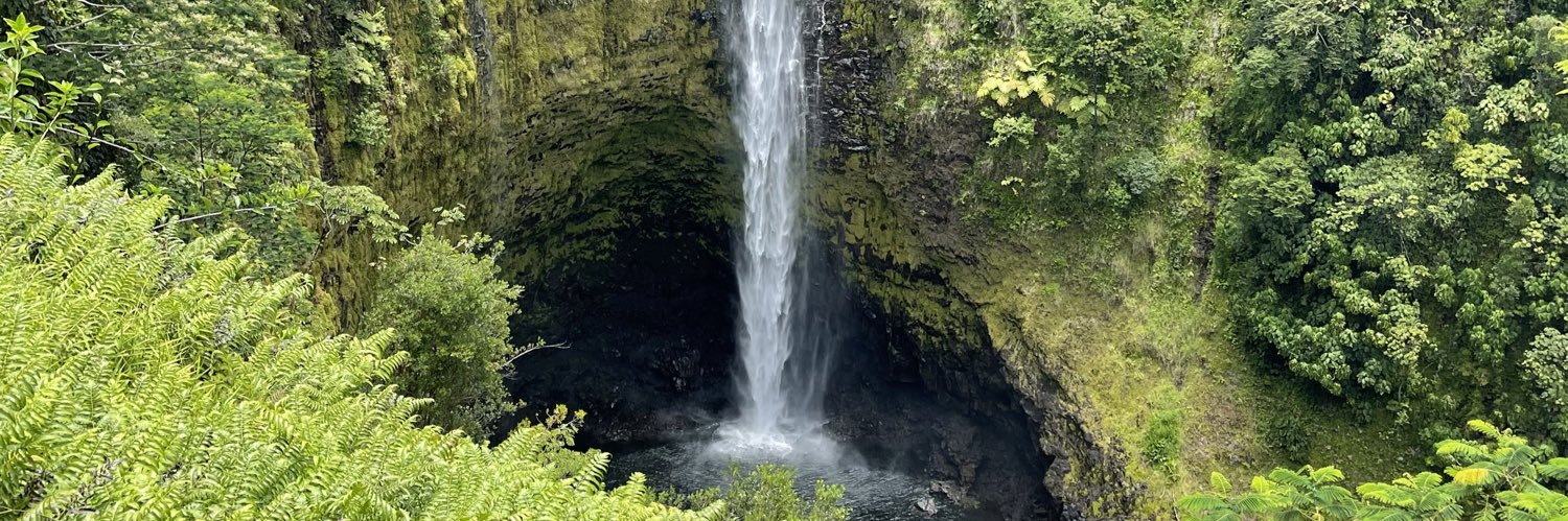 Rohit Choudhary banner