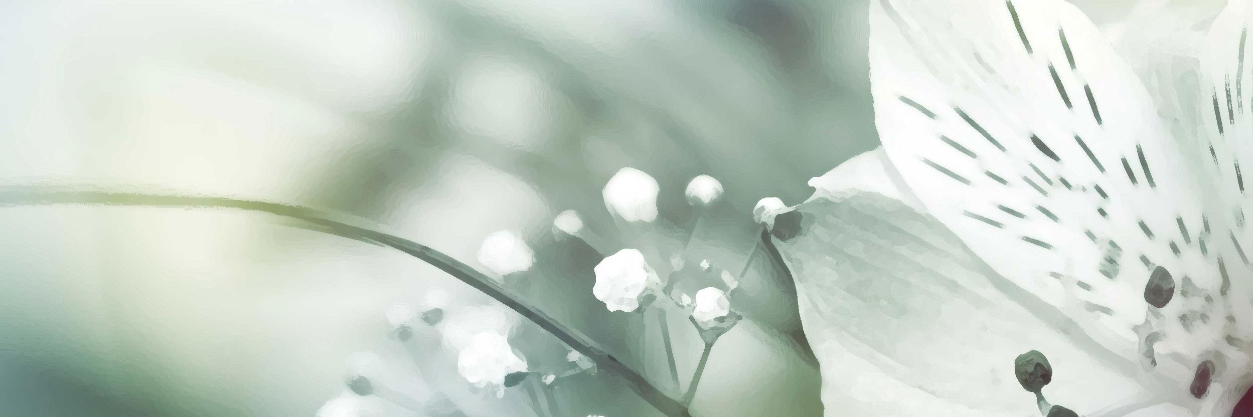 Andy_yune's profile banner image