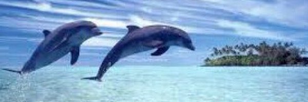 nryd37 Profile Banner