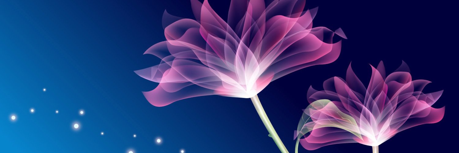 thanhfonro's profile banner image