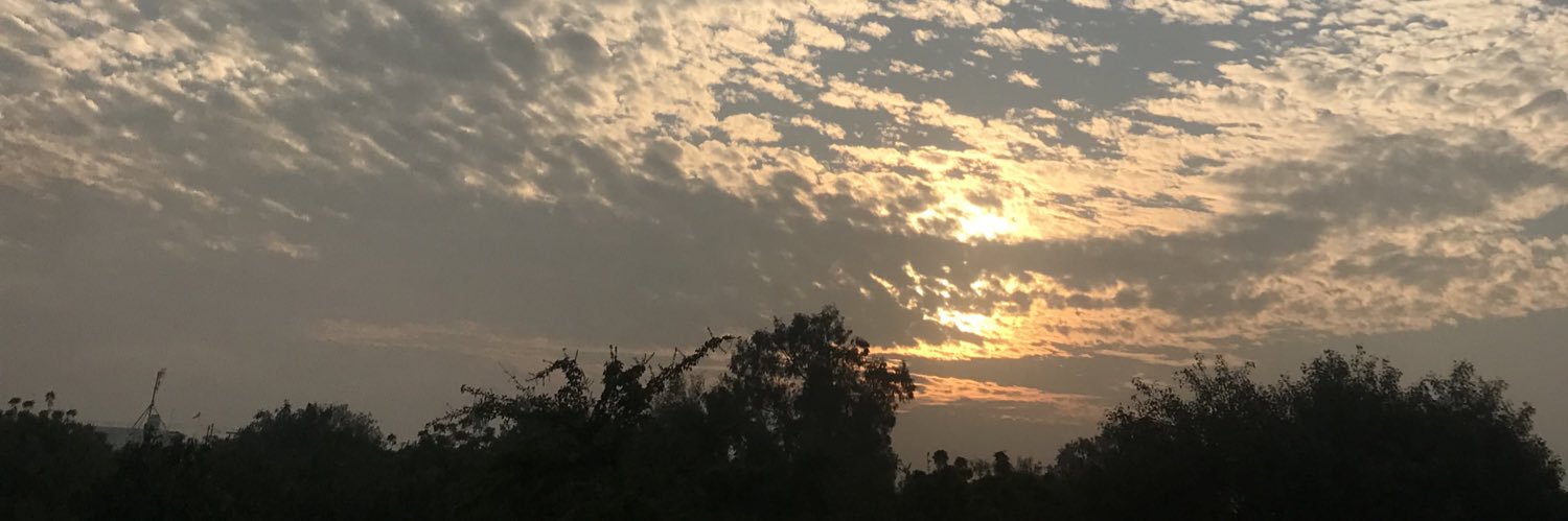 راحیل banner