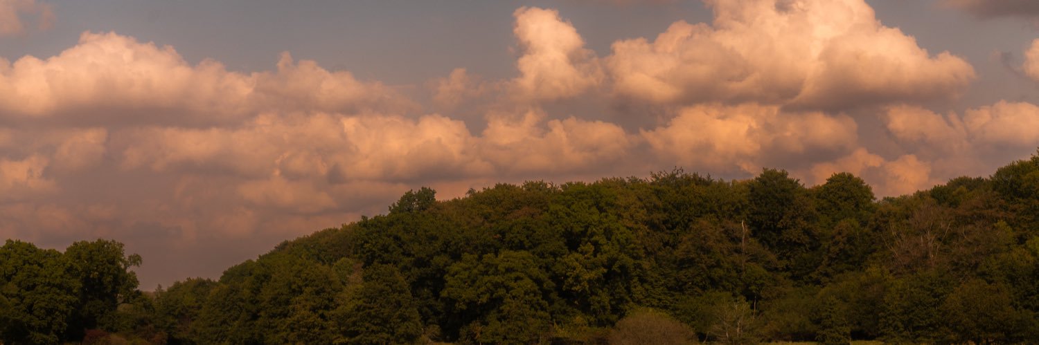 ft_Dogma's profile banner image