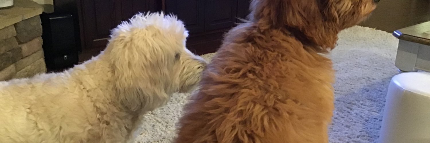 Made in America banner