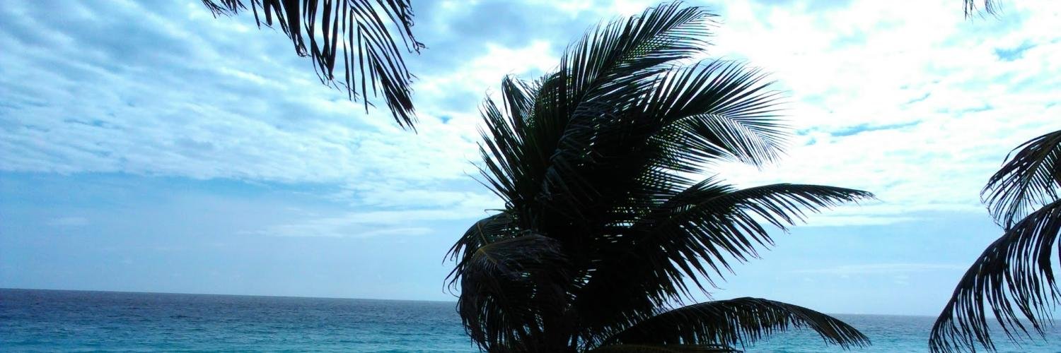 tweeeet's profile banner image