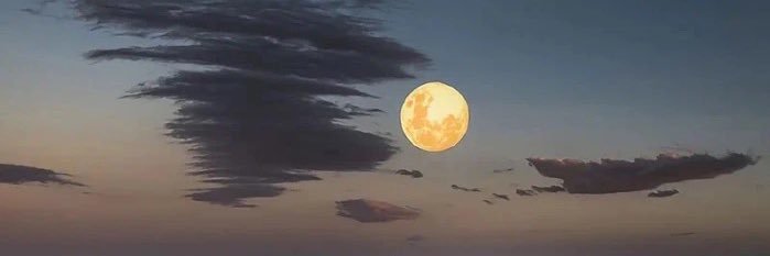 cece banner