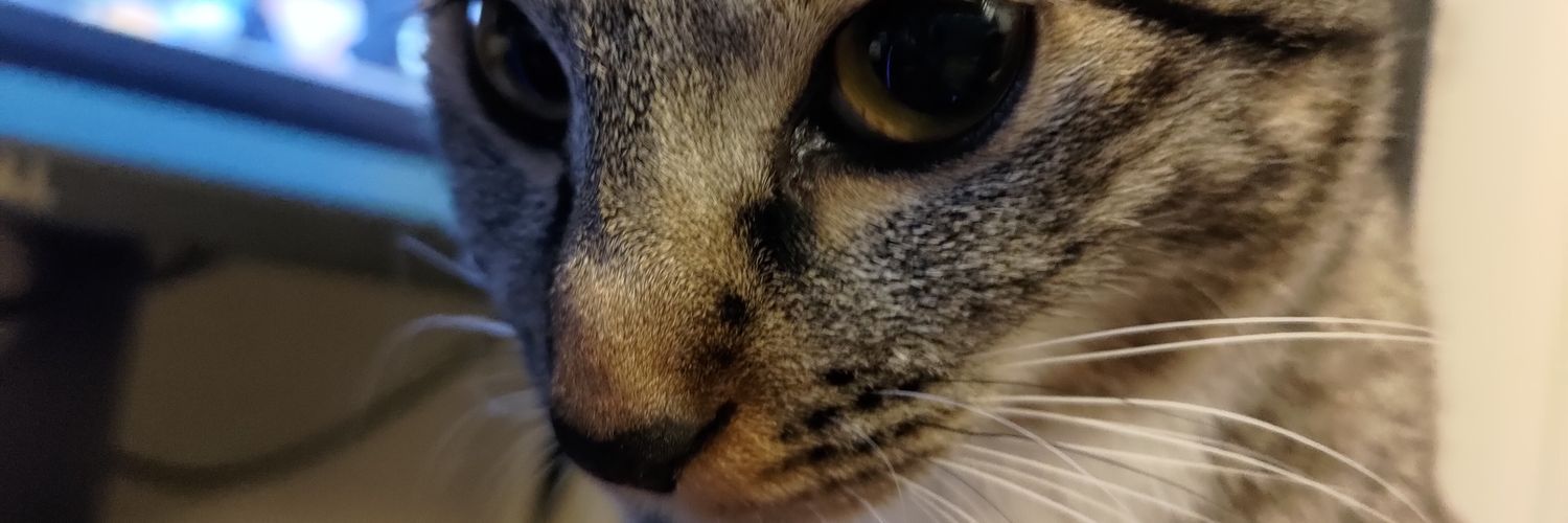 nneeccaatt's profile banner image