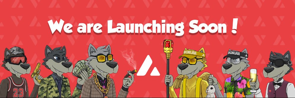 Wolf of AVAX🔺 banner