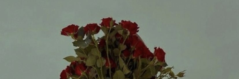 Sha881188's profile banner image