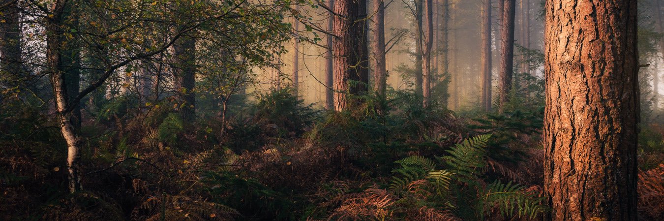 GaryAtkinPhoto's profile banner image