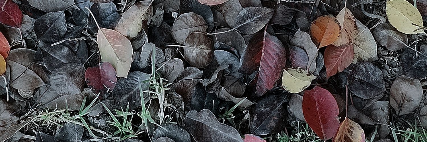 chipfuego99's profile banner image