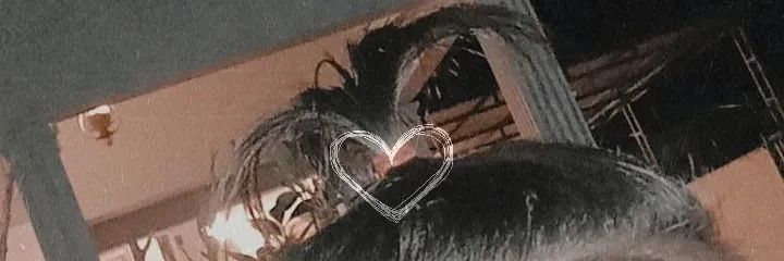 cherishipper_'s profile banner image