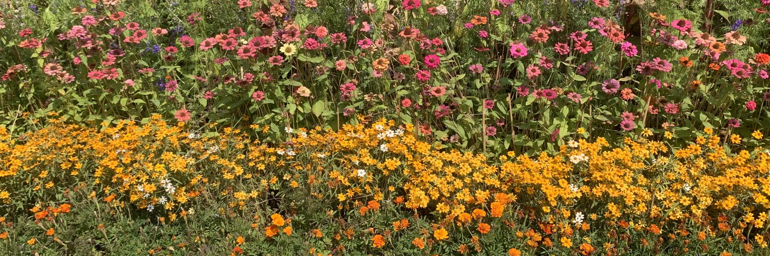 Prabhdeep Kaur banner