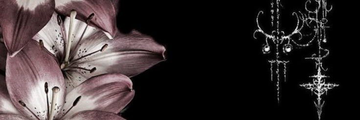 __MitchMitch's profile banner image