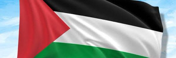 Dirmans13 Profile Banner