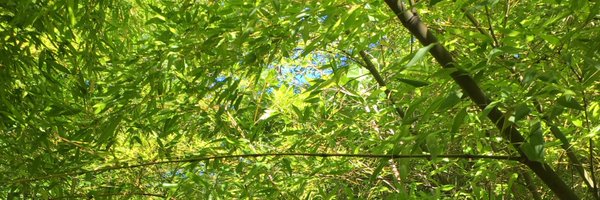 meghan_e Profile Banner