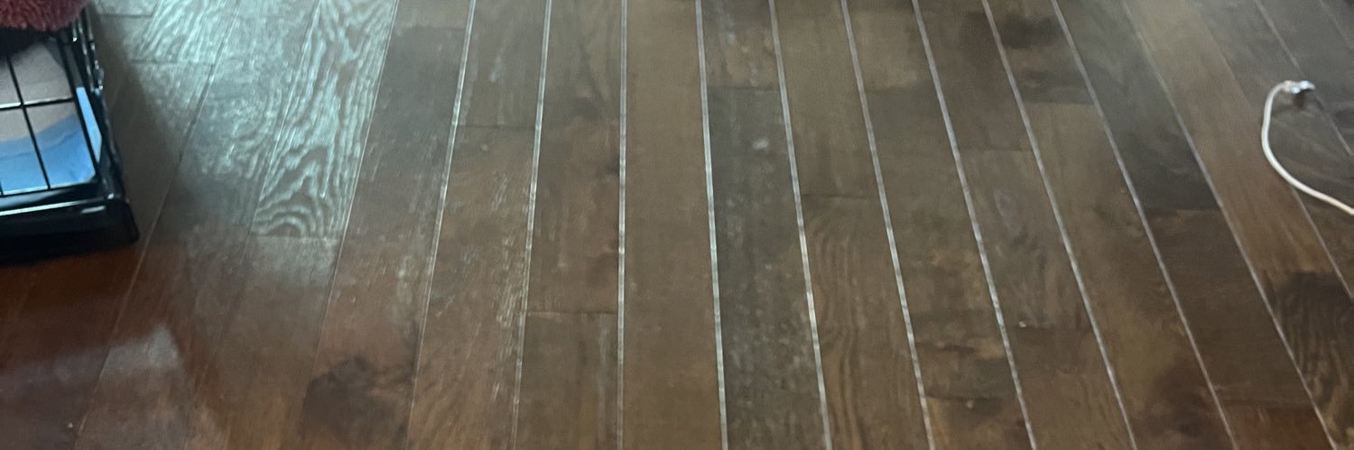 $MEMO GUY banner