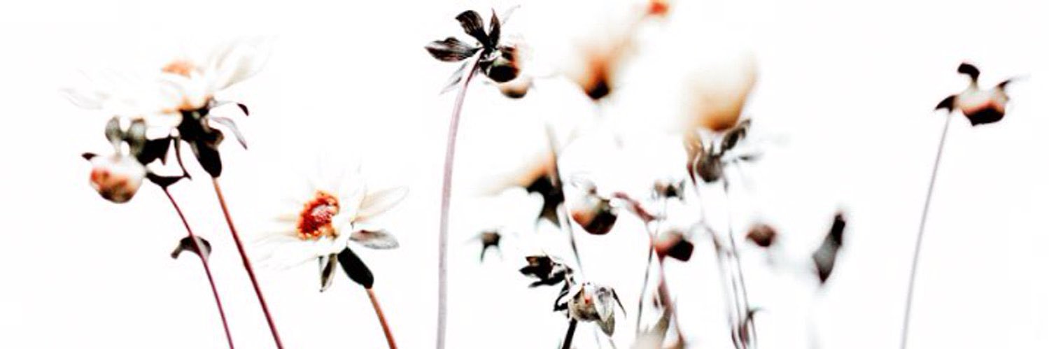 𝓂𝒶𝒹𝒹𝓎 banner