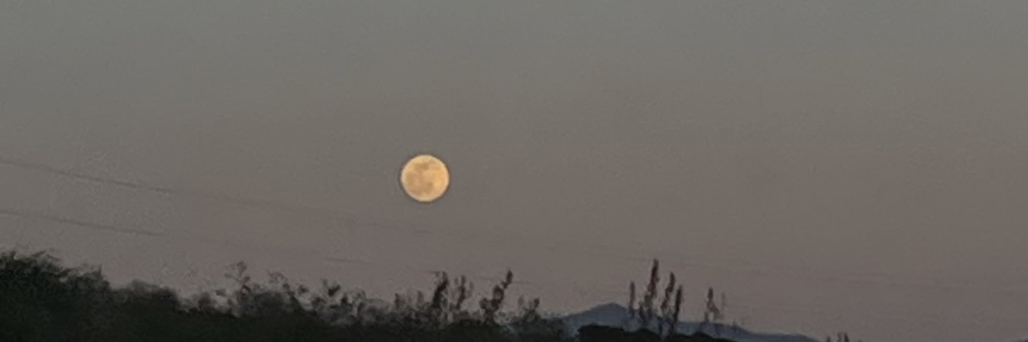 simonamaccarini's profile banner image
