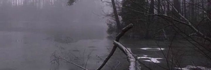 cuterthanyuo's profile banner image