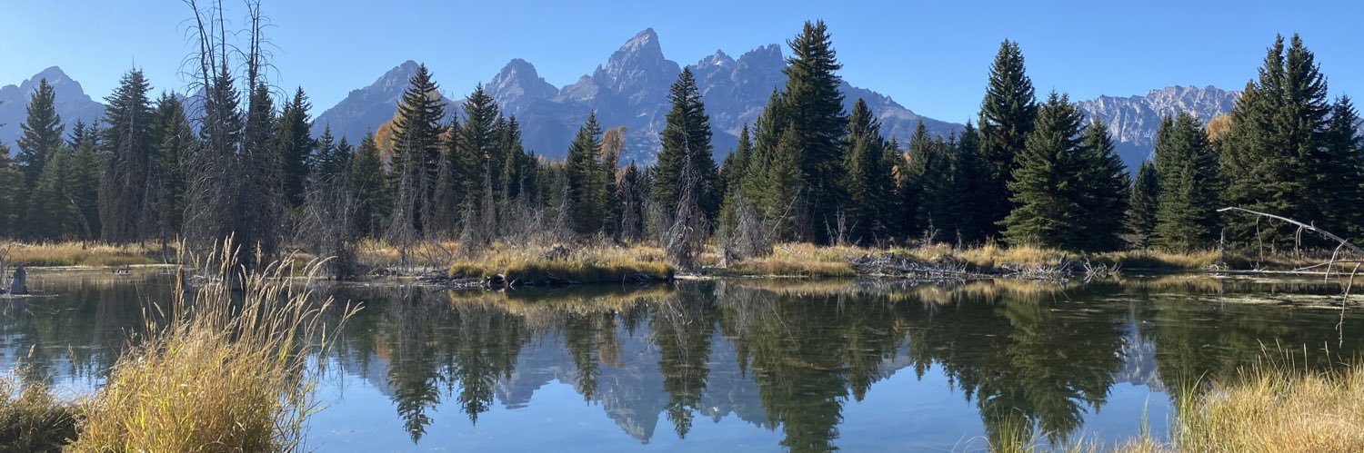 Not-So-Common-Sense banner