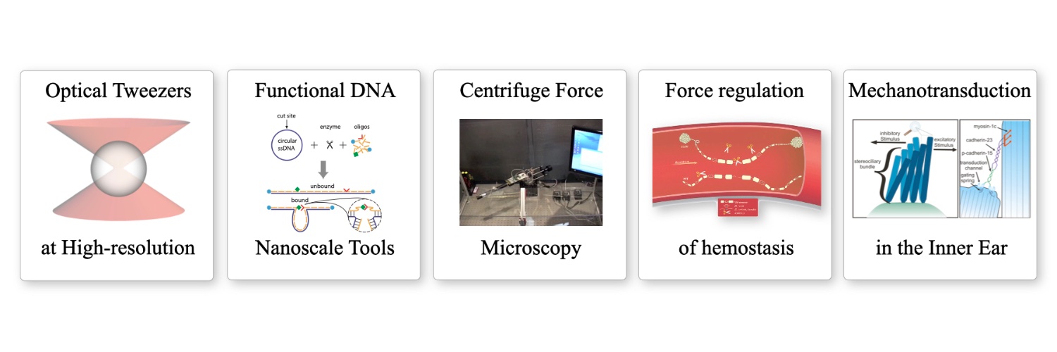 Wesley Wong Lab's banner
