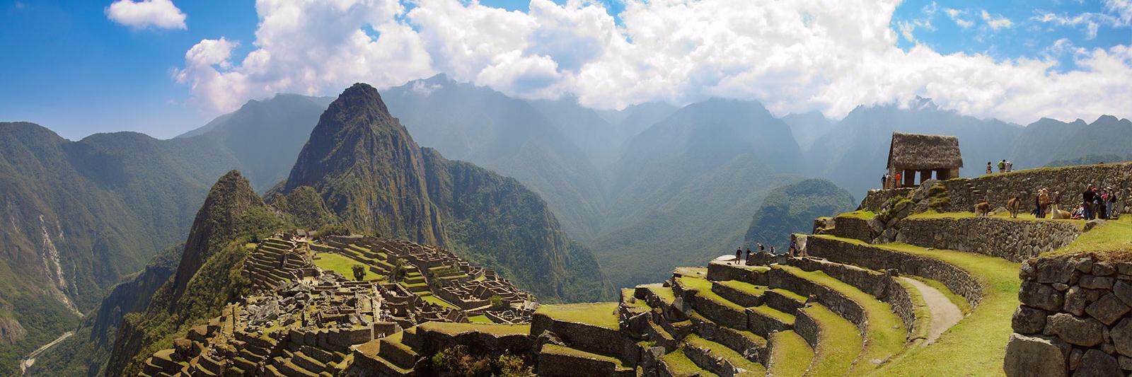 PaulineFlambert banner