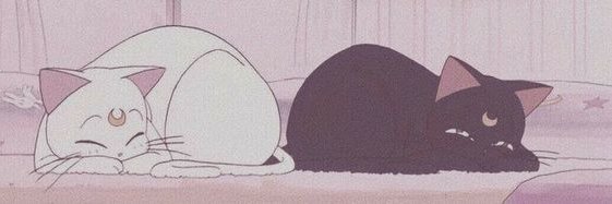 Florify banner