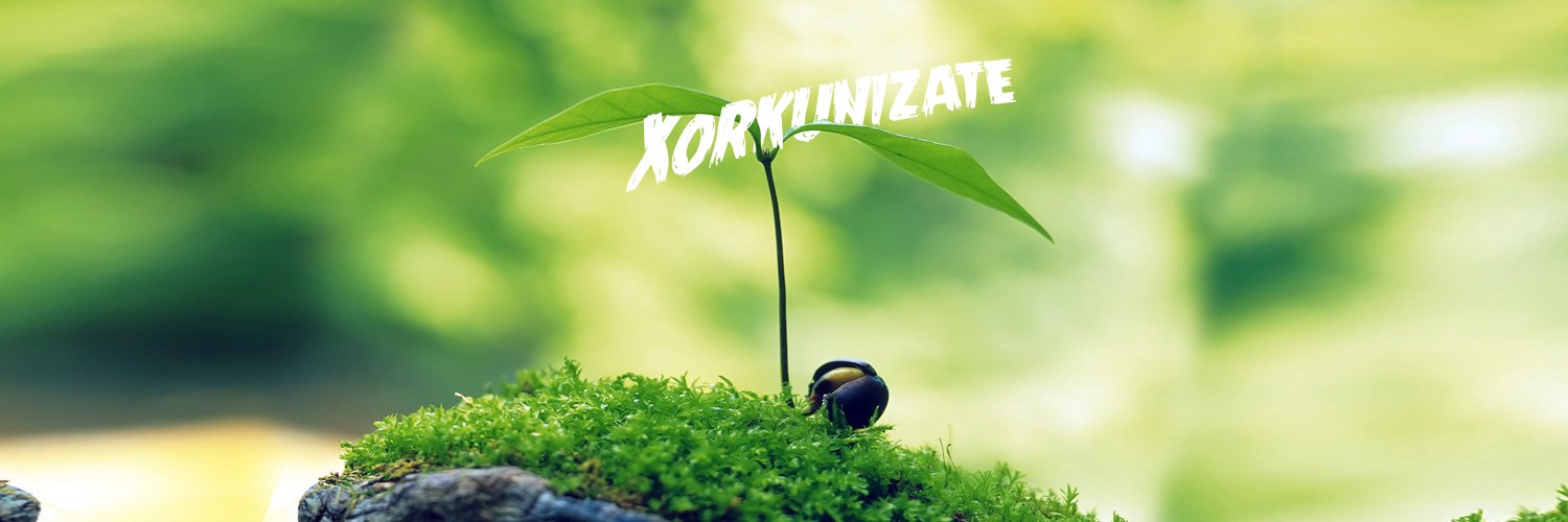 xorkun's profile banner image