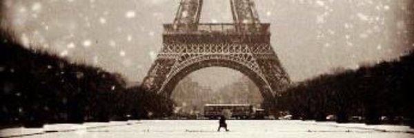 Domlutier Profile Banner
