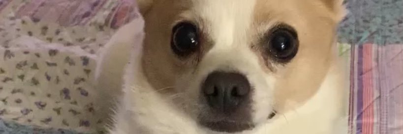 Sisterjohnson6's profile banner image