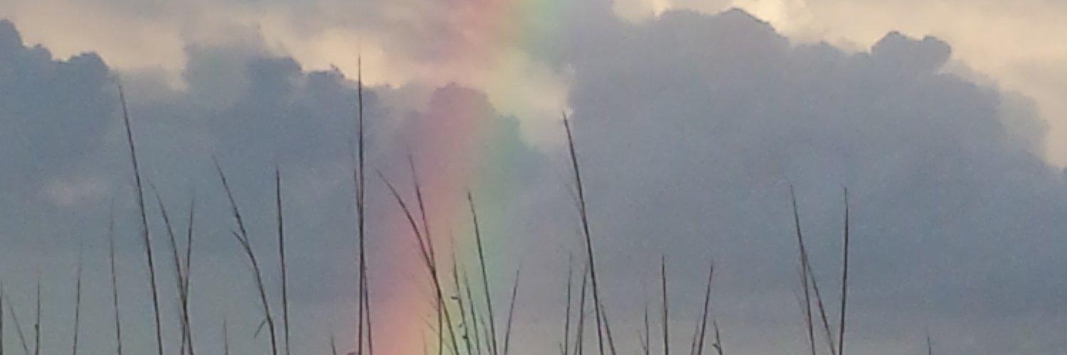 Cyndi B's banner