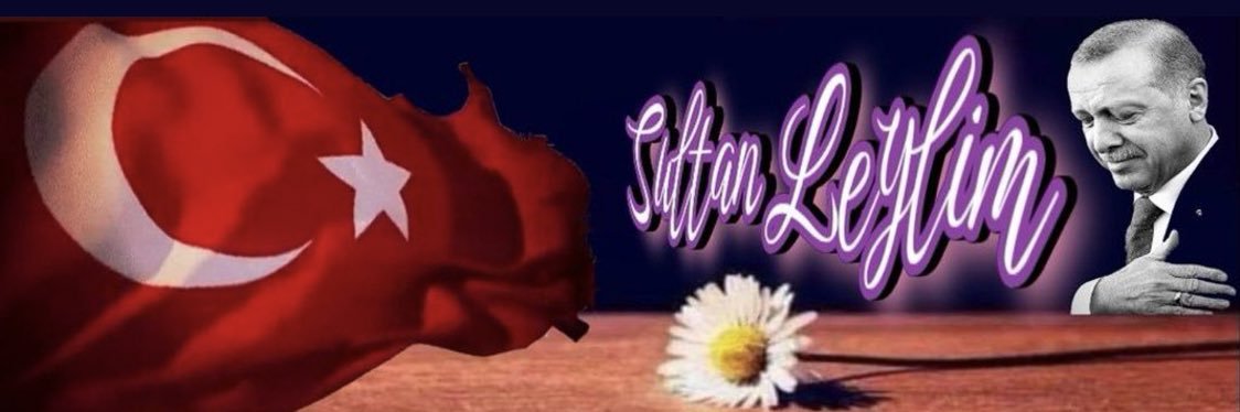 YavuzDavid's profile banner image