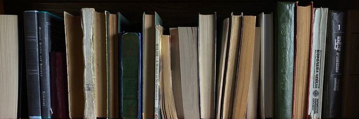 estudos & livros banner