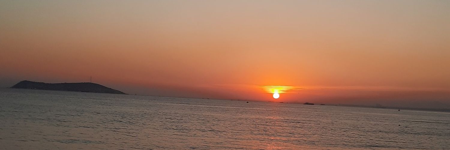 ffiscan's profile banner image