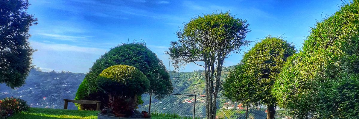 CTovar03's profile banner image