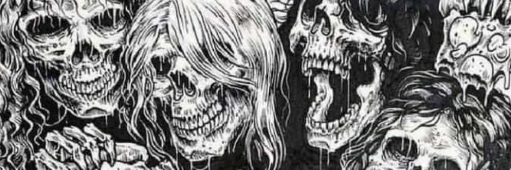 Thrill Stein 🤘 banner