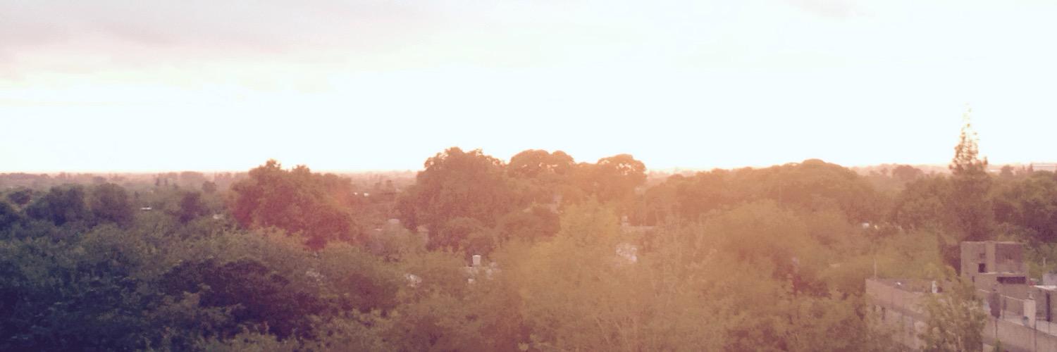 sanchezdaniel's profile banner image