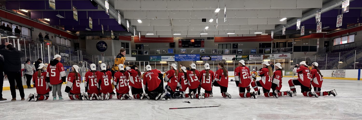 U13AAA Sportscraft Eastern Ice Breakers banner