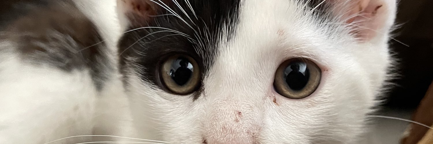 Cxril_'s profile banner image