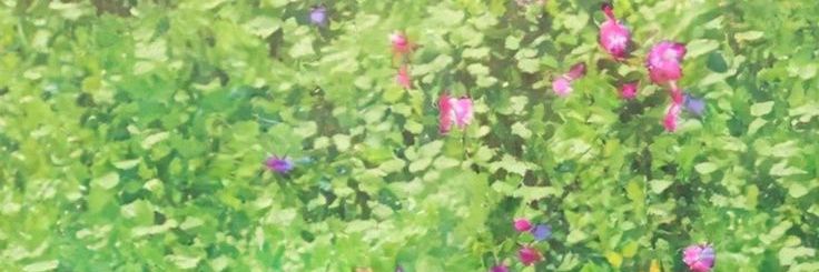 M banner