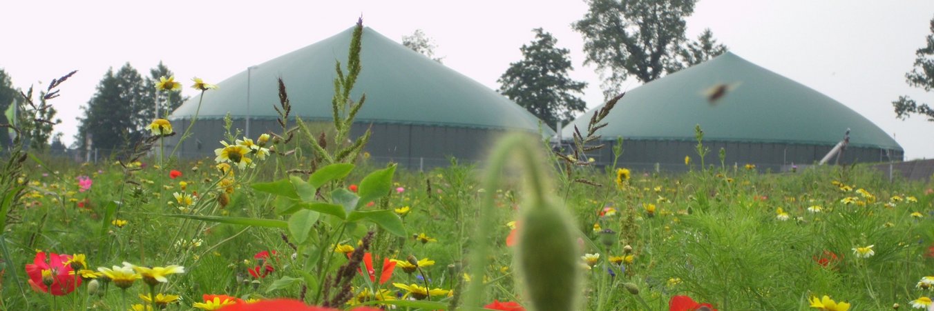 Fachverband Biogas banner