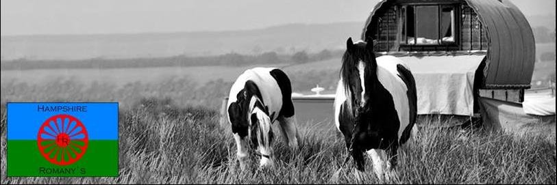 CherryBarney's profile banner image