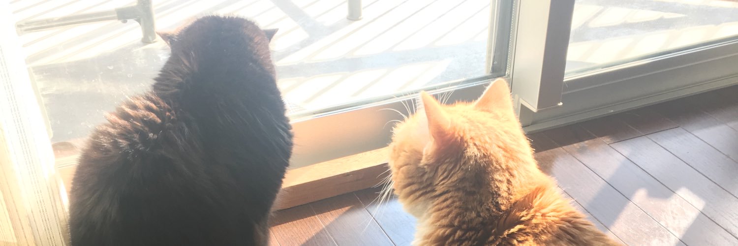 miya109's profile banner image