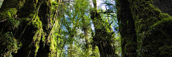 My_Environment Profile Banner